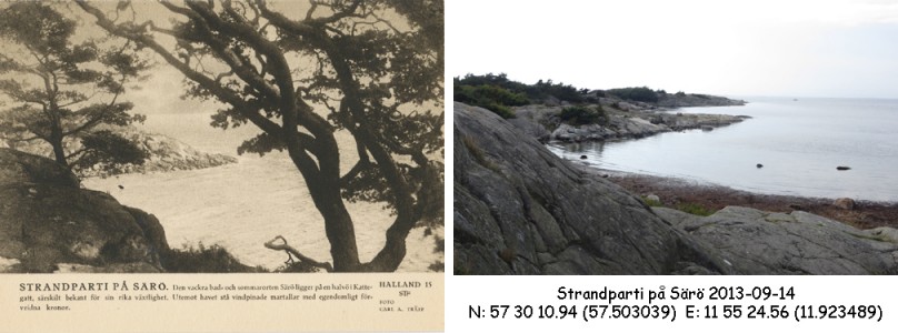 STF vykort nr 15 -Strandparti på Särö