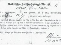 1867 Albert_E_L_Olsen-Vacinationsattest